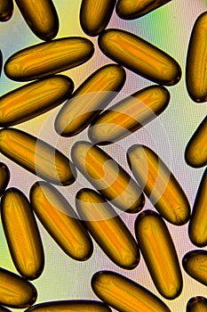 Pills or capsules on polarised background photo