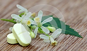 Pills made from medicinal neem