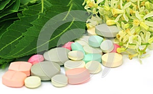 Pills made from medicinal neem flower and leaves