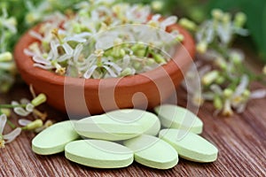 Pills made from medicinal neem flower and leaves