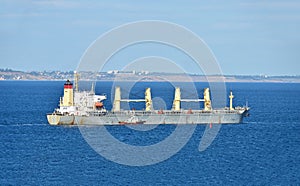 Pilot assisting bulk cargo ship