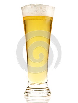 Pils Beer on white Background