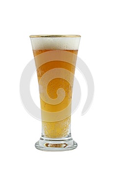Pilsner glass of beer photo