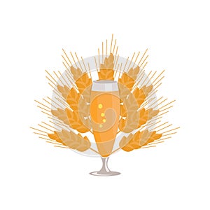 Pilsner Glass of Beer on White Background