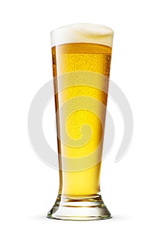 Pilsner glass of fresh yellow beer with cap of foam isolated on white background