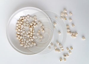 Pilus Snack with White Background