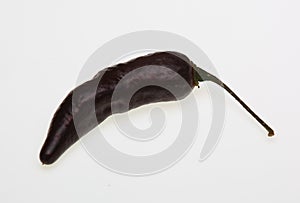 Pimenta da Neyde black Chili, chili pepper