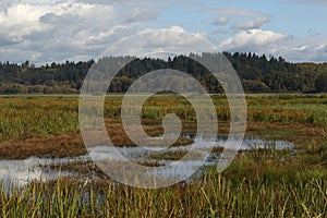 Ridgefield National Wildlife Refuge, Washington