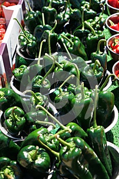 Pimiento or Capsicum or sweet pepper sold at farmers market in Stratford-upon-Avon