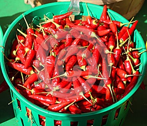Pimientos Choriceros, dry hot guindilla peppers, photo