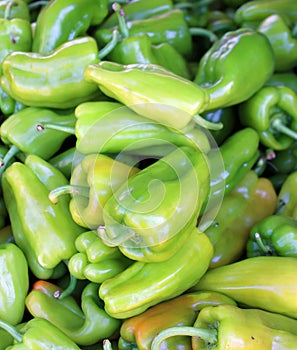 Pimientos Choriceros, dry hot guindilla peppers, photo