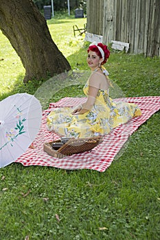 Pin up picnic