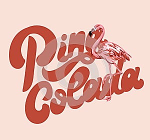 Pina colada. Vector handwritten lettering with hand drawn illustration of flamingo. photo