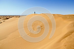 Sand dunes in Pinacate park near to puerto peÃÂ±asco, sonora, mexico IV photo