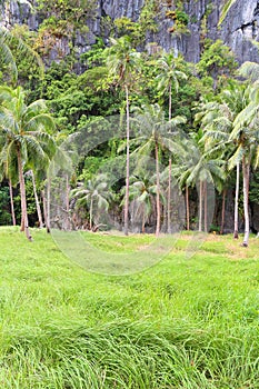 Pinagbuyutan Island