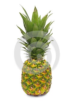Pinapple fruit