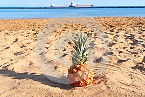 pinapple ob a beach