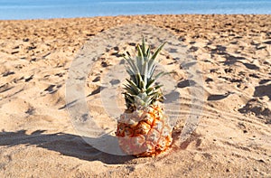 pinapple ob a beach