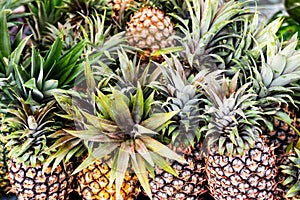 pinapple pile at organic fruit market. pile of pinapples close-up photo