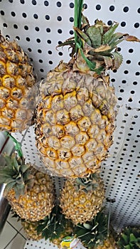 pinapples  batch in the supermarket display