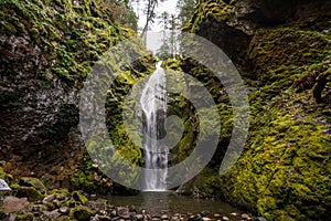 Pinard Falls Umpqua National Forest in Oregon