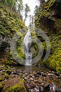 Pinard Falls Umpqua National Forest in Oregon