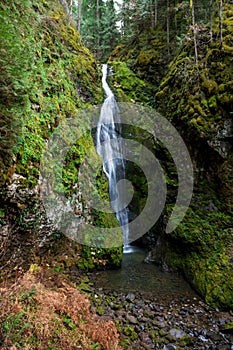 Pinard Falls Umpqua National Forest in Oregon