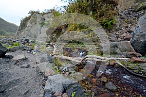 Pinatubo Trek photo