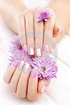 Pinc manicure with chrysanthemum flowers. spa photo