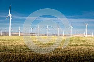 Pincher Creek Alberta Canada, October 17 2022: Vestas Windmills producing sustainable energy on a wind farm