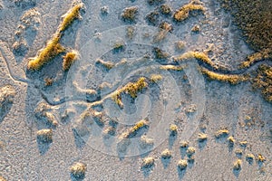 Pinckney Island National Wilderness photo