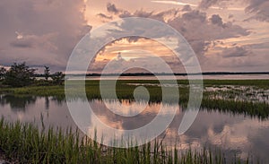 Pinckney Island nature reserve photo