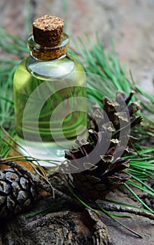 Pine aroma oil bio organic