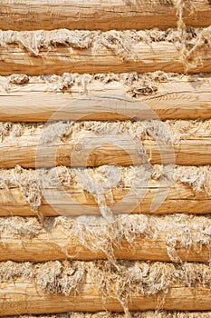 Pine balk wall