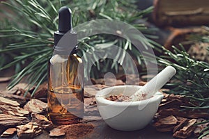 Pine bark, tincture bottle, mortar of powdered pine bark and branches of pine tree on background