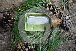 Pine aroma oil bio organic