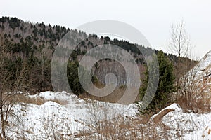 View of the winter Siberian forest