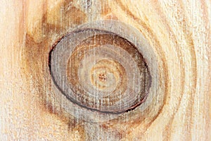 Pine Board with a knot. The structure of the tree cut close-up