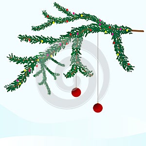 Pine branch