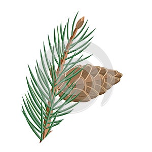 Pine Branch with Cone Vector in Flat Design