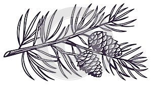 Pine Branch with Miniature Pinecones, vector design Generative AI