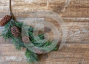 Pine branch with pine cones  on rustic wood background