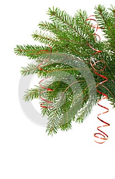 Pine branch with red tinsel