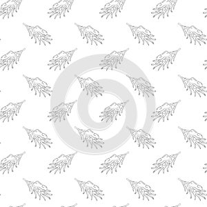 Seamless pattern with hand-drawn pine tree branches in a minimal monochrome style