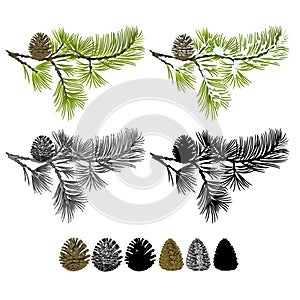 Pine branch with snow and pine cones and vintage engraving and silhouette set seven vector illustration editable hand drawn