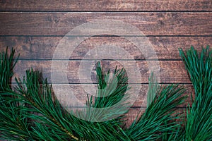 Pine branch on wooden background