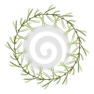 Pine branch wreath. Festive round seasonal decoration. Watercolor illustration. Christmas green holiday wreath. Winter photo