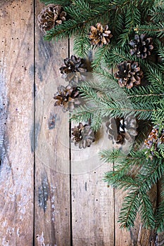 Pine branches,cones.