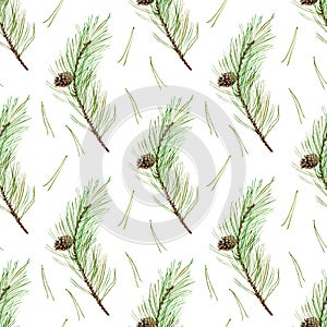 Pine branches seamless pattern.
