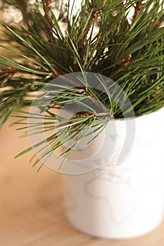 Pine branches on wood background. Branches in Vase, Winter interior decoration. White Vase with world map. Dream about Travel.